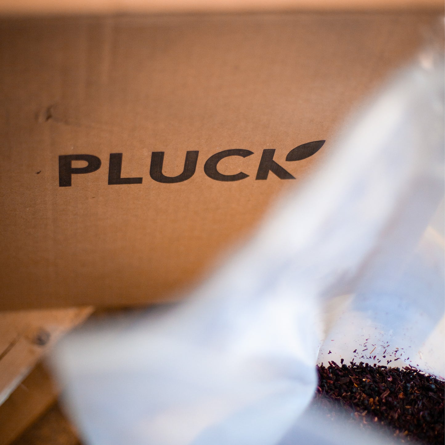 Fancy Sparkling Tea – Hibiscus Berry